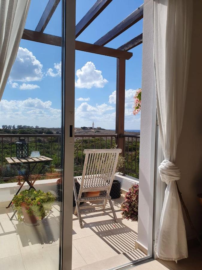 Ancient Paphos - Cozy Place Next To The Sea, Marina, Historical Sites, Buses, Mall, And Market Eksteriør billede