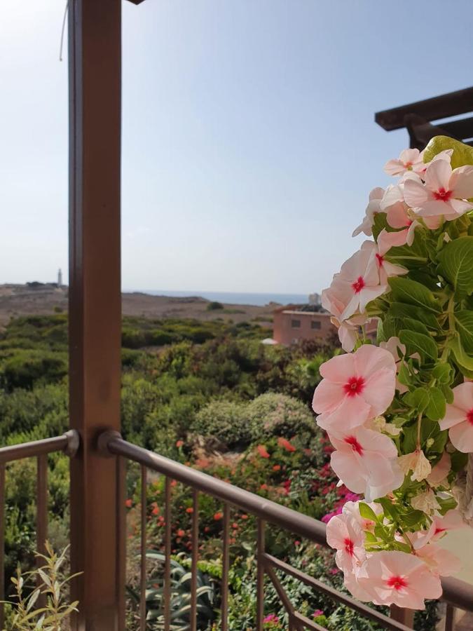 Ancient Paphos - Cozy Place Next To The Sea, Marina, Historical Sites, Buses, Mall, And Market Eksteriør billede