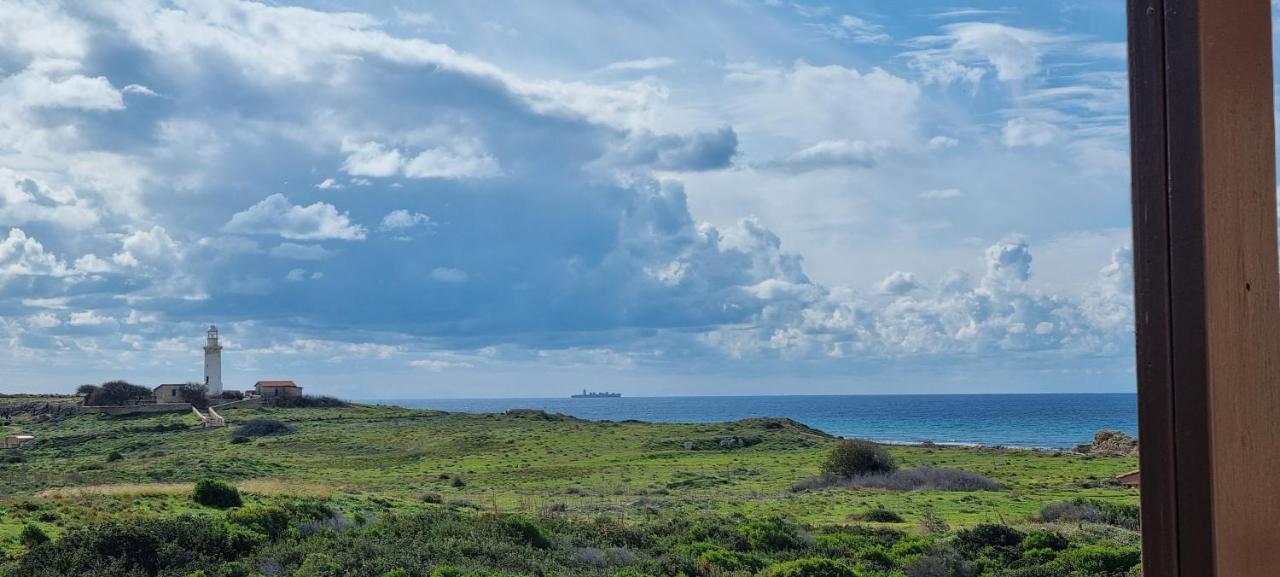 Ancient Paphos - Cozy Place Next To The Sea, Marina, Historical Sites, Buses, Mall, And Market Eksteriør billede