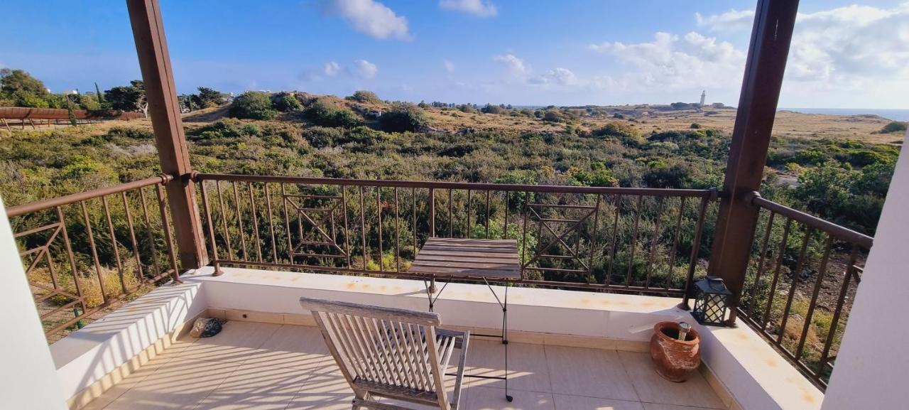 Ancient Paphos - Cozy Place Next To The Sea, Marina, Historical Sites, Buses, Mall, And Market Eksteriør billede