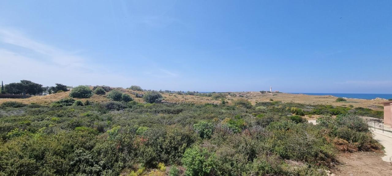 Ancient Paphos - Cozy Place Next To The Sea, Marina, Historical Sites, Buses, Mall, And Market Eksteriør billede